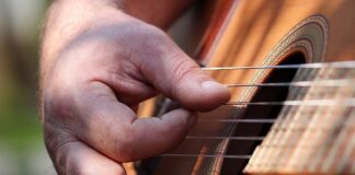 Gdzie jest najwięcej ataków rekinów?