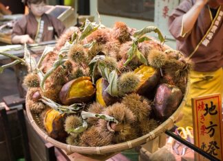 Jak najtaniej dojechać do Chorwacji?