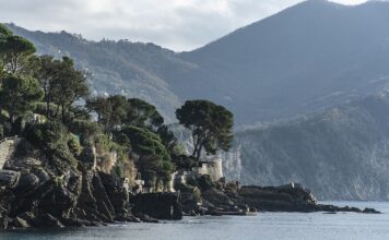 Ile kosztuje wino w Słowenii?