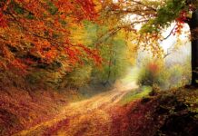 Gdzie przez cały rok jest 25 stopni?