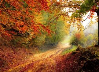 Gdzie przez cały rok jest 25 stopni? Gdzie przez cały rok jest 25 stopni?