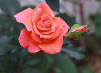 Gdzie wypłacać bez prowizji w Chorwacji? Gdzie wypłacać bez prowizji w Chorwacji?