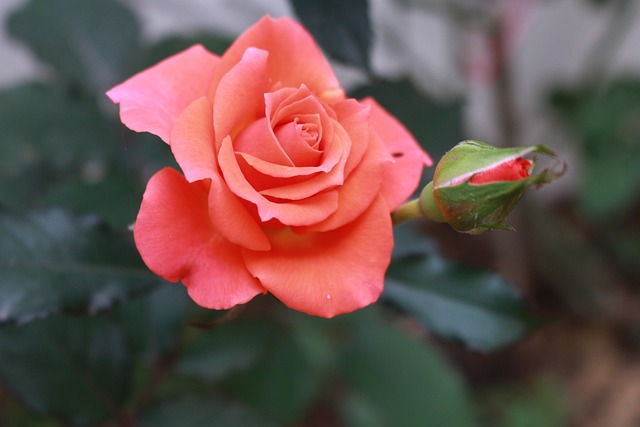 Gdzie wypłacać bez prowizji w Chorwacji? Gdzie wypłacać bez prowizji w Chorwacji?