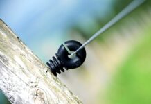 Jak Duńczycy traktują Polaków? Jak Duńczycy traktują Polaków?