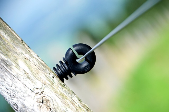 Jak Duńczycy traktują Polaków? Jak Duńczycy traktują Polaków?