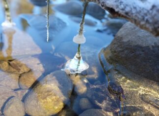 Gdzie jest 24 stopnie w styczniu? Gdzie jest 24 stopnie w styczniu?
