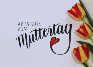 Czy Łotysze lubią Polaków? Czy Łotysze lubią Polaków?