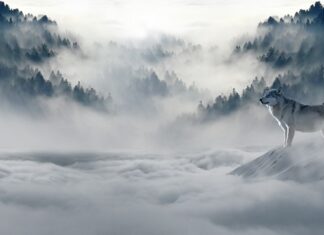 Gdzie zimą na wakacje za granicę? Gdzie zimą na wakacje za granicę?