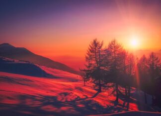 W jakim kraju ludzie uczą się języka polskiego? W jakim kraju ludzie uczą się języka polskiego?