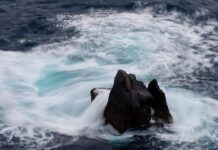 Jakie są ceny w Portugalii? Jakie są ceny w Portugalii?