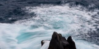 Jakie są ceny w Portugalii?