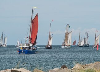 Czy są jednodniowe winiety? Czy są jednodniowe winiety?