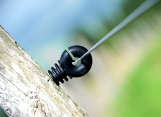 Jak mówią na Polaków za granicą? Jak mówią na Polaków za granicą?