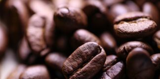 Jaka kara za brak winiety w Słowenii?