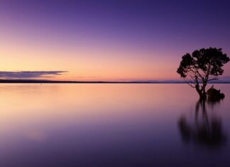 Dlaczego w Chorwacji trzeba mieć buty do wody? Dlaczego w Chorwacji trzeba mieć buty do wody?