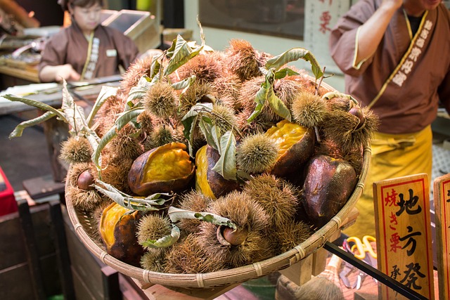 Jak dojechać do Słowenii pociągiem? Jak dojechać do Słowenii pociągiem?