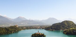 Czy w Słowenii są rekiny?