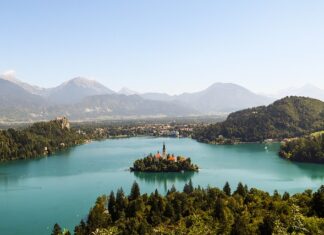 Czy w Słowenii są rekiny? Czy w Słowenii są rekiny?